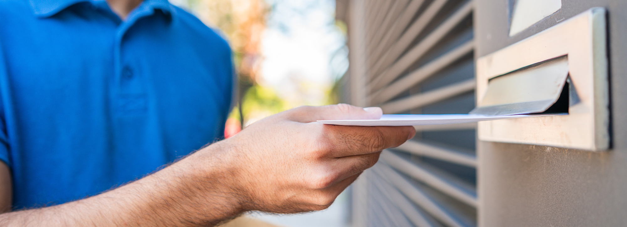 Cómo crear un newsletter